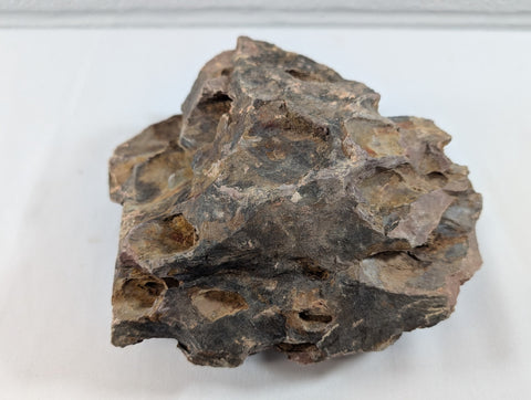 Image of Dragon Stone Rock Aquascaping Premium Quality IWAGUMI Aquarium 1.5kg (RC10015)