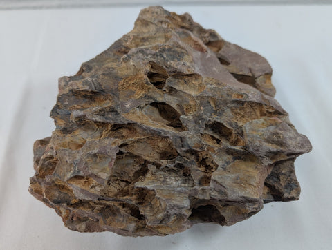 Image of Dragon Stone Rock Aquascaping Premium Quality IWAGUMI Aquarium 1.5kg (RC10015)