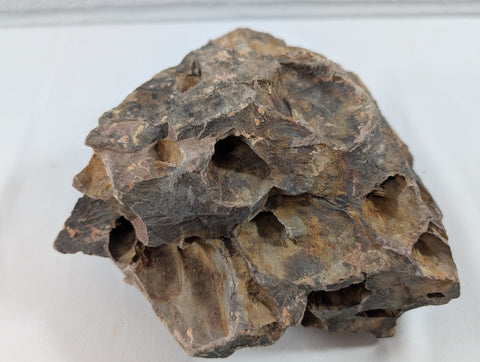 Image of Dragon Stone Rock Aquascaping Premium Quality IWAGUMI Aquarium 1.5kg (RC10015)