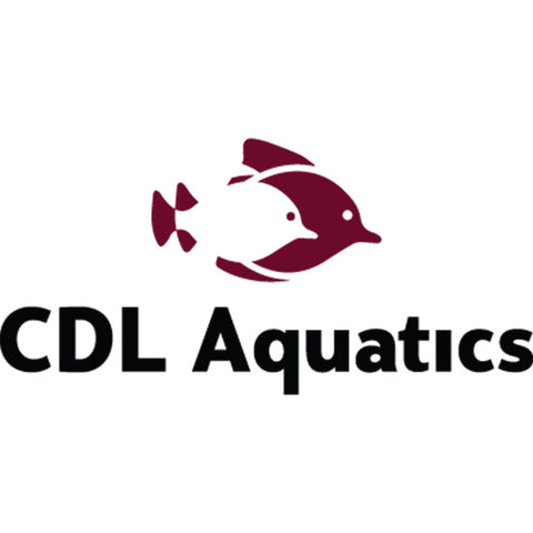 Image of Java Fern Approx. 5cm Potted Microsorium Pteropus Aquarium Plants x6