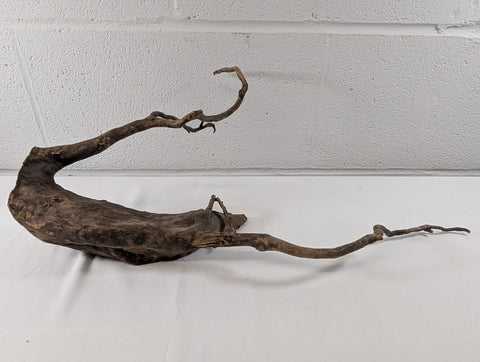 Image of Natural Dark Moor Wood Root Driftwood for Aquarium/Terrarium (A10004)