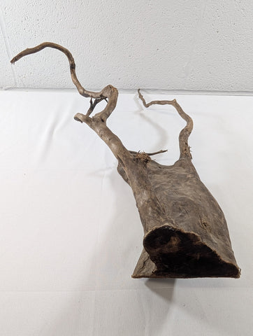 Image of Natural Dark Moor Wood Root Driftwood for Aquarium/Terrarium (A10004)