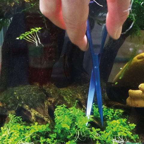 Image of NT Labs Procare Aquascaping Nano Scissors