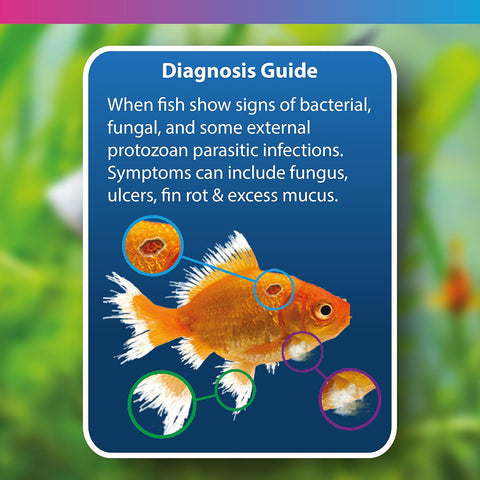 Image of NT Labs Aquarium Methylene Blue 100ml