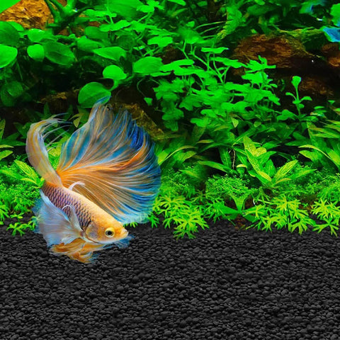 Image of Fluval Betta Stratum 800g