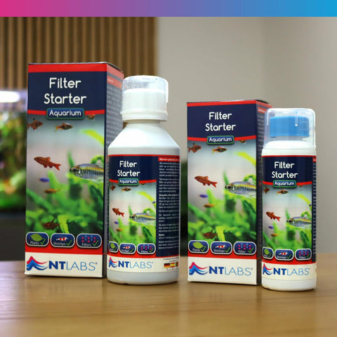 Image of NT Labs Aquarium Filter Starter 100/250ml
