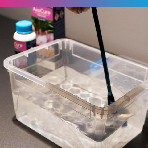 Image of NT Labs Aquarium AxoCure 100ml