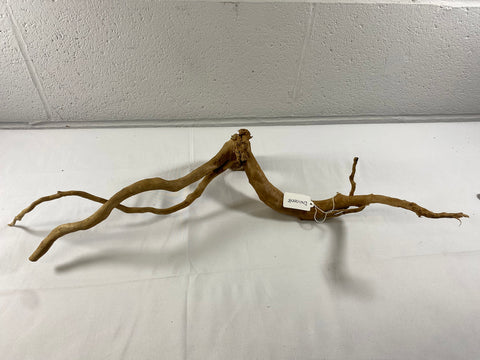 Image of Natural Red Moor Wood Root Driftwood Aquarium/Terrarium D58xW24xH14 (DW10008)