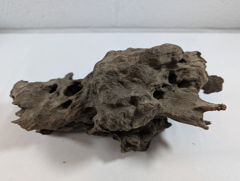 Image of Natural Dragon Driftwood Wood Reptile Aquascape Aquarium D28xW11xH12 (DW10019)