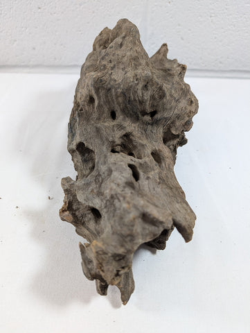 Image of Natural Dragon Driftwood Wood Reptile Aquascape Aquarium D28xW11xH12 (DW10019)