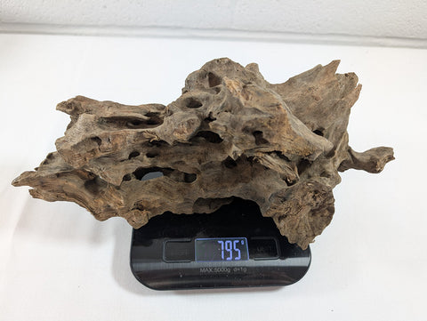 Image of Natural Dragon Driftwood Wood Reptile Aquascape Aquarium D28xW11xH12 (DW10019)
