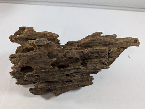 Image of Natural Dragon Driftwood Wood Reptile Aquascape Aquarium D27xW11xH9 (DW10020)
