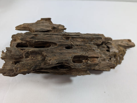 Image of Natural Dragon Driftwood Wood Reptile Aquascape Aquarium D27xW11xH9 (DW10020)