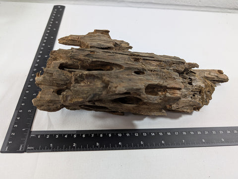 Image of Natural Dragon Driftwood Wood Reptile Aquascape Aquarium D27xW11xH9 (DW10020)