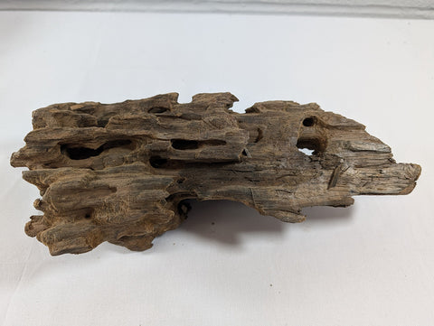 Image of Natural Dragon Driftwood Wood Reptile Aquascape Aquarium D27xW11xH9 (DW10020)