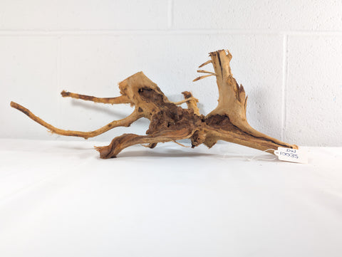 Image of Natural Red Moor Wood Root Driftwood Aquarium/Terrarium D40xW20xH18 (DW10035)
