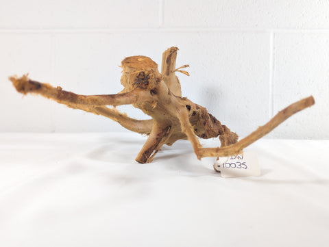 Image of Natural Red Moor Wood Root Driftwood Aquarium/Terrarium D40xW20xH18 (DW10035)