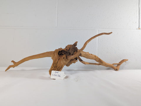 Image of Natural Red Moor Wood Root Driftwood Aquarium/Terrarium D60xW20xH15 (DW10036)