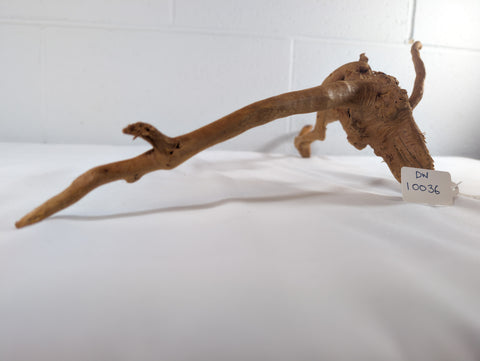 Image of Natural Red Moor Wood Root Driftwood Aquarium/Terrarium D60xW20xH15 (DW10036)