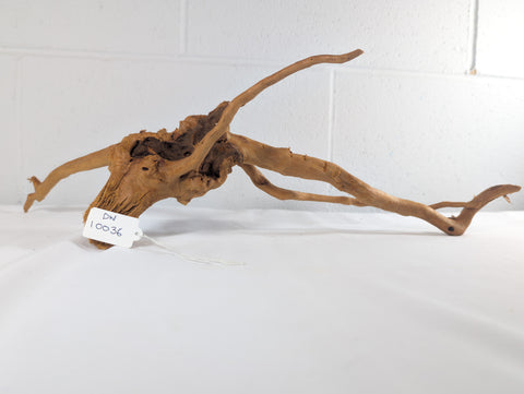 Image of Natural Red Moor Wood Root Driftwood Aquarium/Terrarium D60xW20xH15 (DW10036)