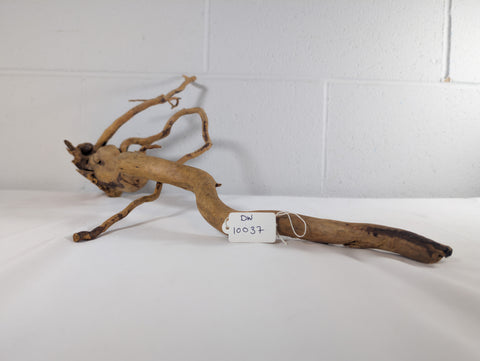 Image of Natural Red Moor Wood Root Driftwood Aquarium/Terrarium D55xW42xH13 (DW10037)