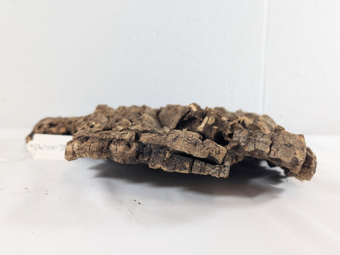 Image of Cork Bark Plate for Terrariums, Vivariums & Aquariums – Natural Climbing & Hide Decor 33x28x5 (DW10038)