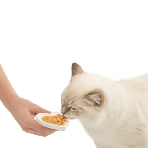 Image of Catit Creamy Heart Ceramic Dish