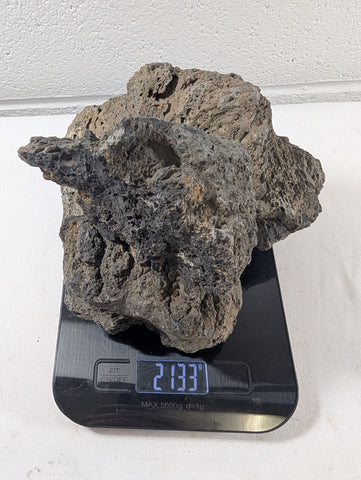 Image of Blue Fairy Rock Aquascaping Premium Quality IWAGUMI Aquarium x3 2.1kg (RC10058)