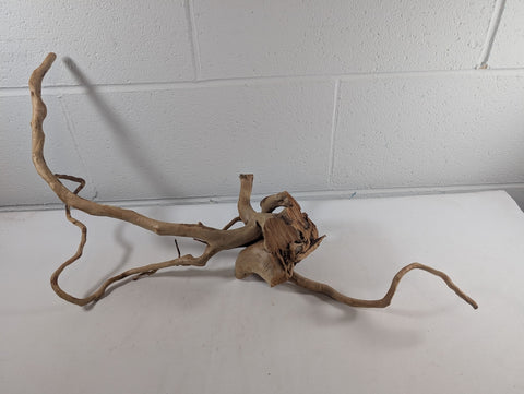 Image of Natural Red Moor Wood Root Driftwood Aquarium/Terrarium D58xW24xH29 (DW10031)