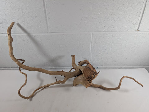 Image of Natural Red Moor Wood Root Driftwood Aquarium/Terrarium D58xW24xH29 (DW10031)