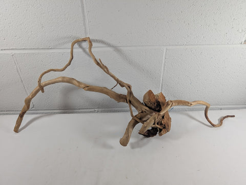 Image of Natural Red Moor Wood Root Driftwood Aquarium/Terrarium D58xW24xH29 (DW10031)