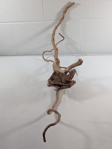 Image of Natural Red Moor Wood Root Driftwood Aquarium/Terrarium D58xW24xH29 (DW10031)