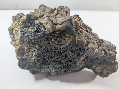 Image of Blue Fairy Rock Aquascaping Premium Quality IWAGUMI Aquarium x1 1.7kg (RC10042)