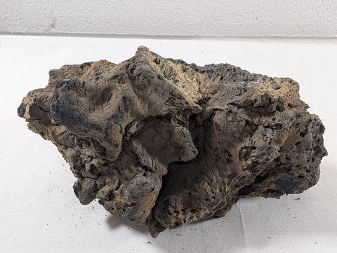 Image of Blue Fairy Rock Aquascaping Premium Quality IWAGUMI Aquarium x1 1.7kg (RC10042)