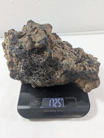 Image of Blue Fairy Rock Aquascaping Premium Quality IWAGUMI Aquarium x1 1.7kg (RC10042)