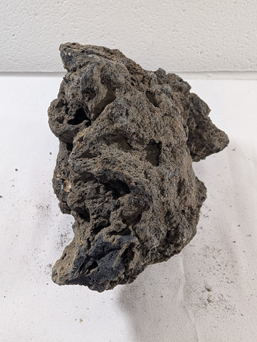 Image of Blue Fairy Rock Aquascaping Premium Quality IWAGUMI Aquarium x1 1.5kg (RC10043)