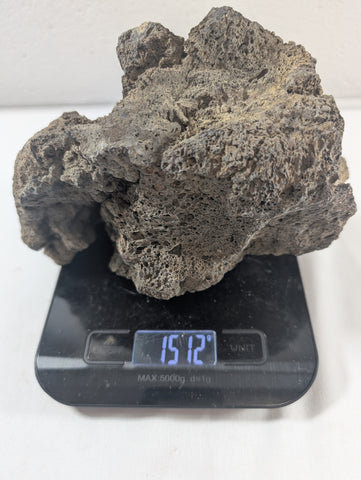 Image of Blue Fairy Rock Aquascaping Premium Quality IWAGUMI Aquarium x1 1.5kg (RC10043)