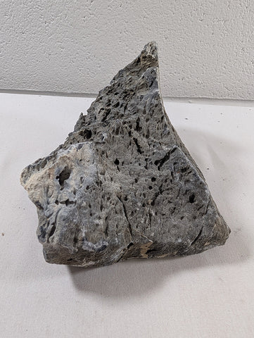 Image of Seiryu Rock Aquascaping Premium Quality IWAGUMI Aquarium x1 1.5kg (RC10047)