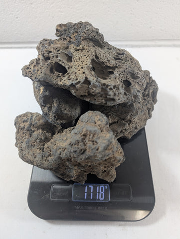 Image of Blue Fairy Rock Aquascaping Premium Quality IWAGUMI Aquarium x4 1.7kg (RC10056)