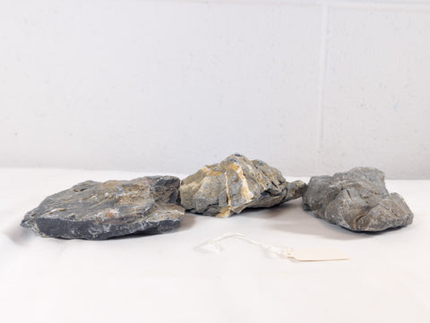 Image of Seiryu Rock Aquascaping Premium Quality IWAGUMI Aquarium x3 1.65kg (RC10062)