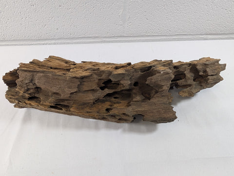 Image of Natural Honeycomb Wood Catfish Shrimp Aquarium/Terrarium D40xW12xH9.5 (DW10011)