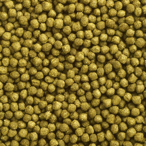 Image of Hikari Oranda Gold Pellets 100g