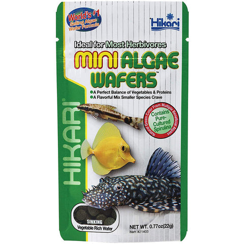 Image of Hikari Mini Algae Wafers 22g