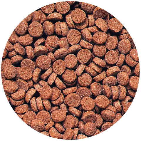 Image of Hikari Sinking Carnivore Pellets 74g