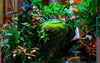 How to Cycle a Fish Tank: A Beginner’s Guide