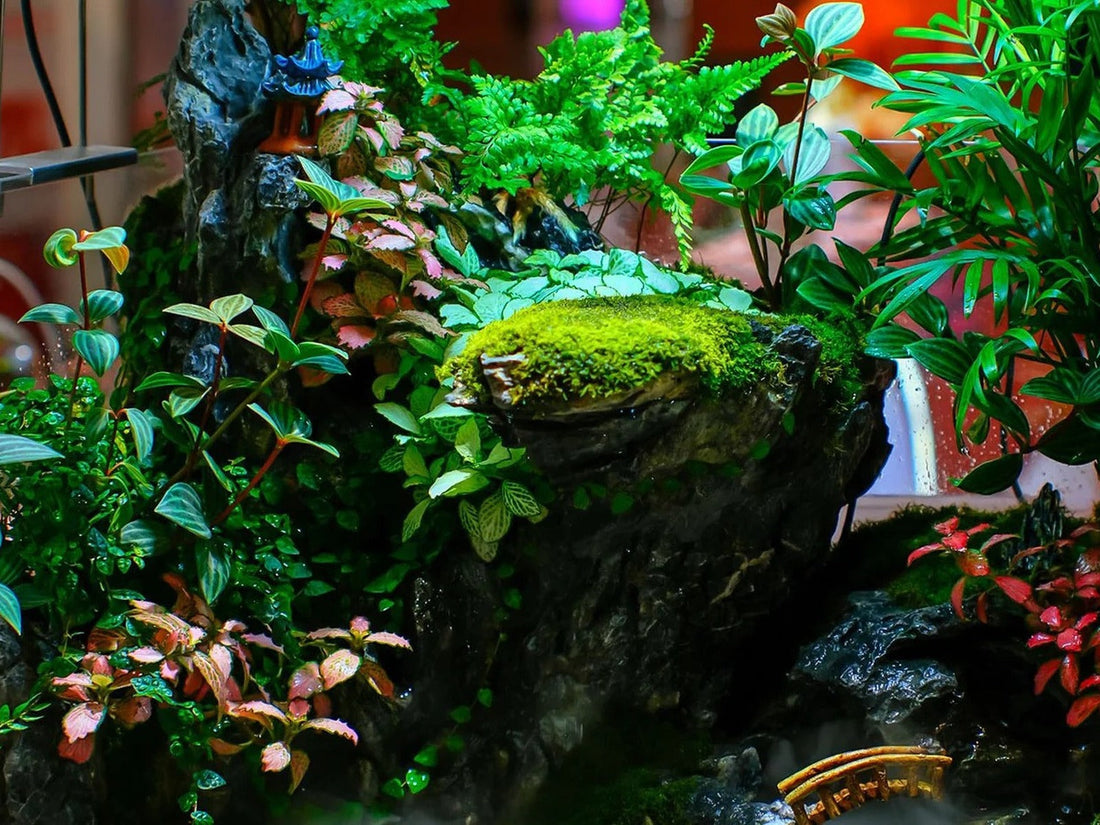 How to Cycle a Fish Tank: A Beginner’s Guide