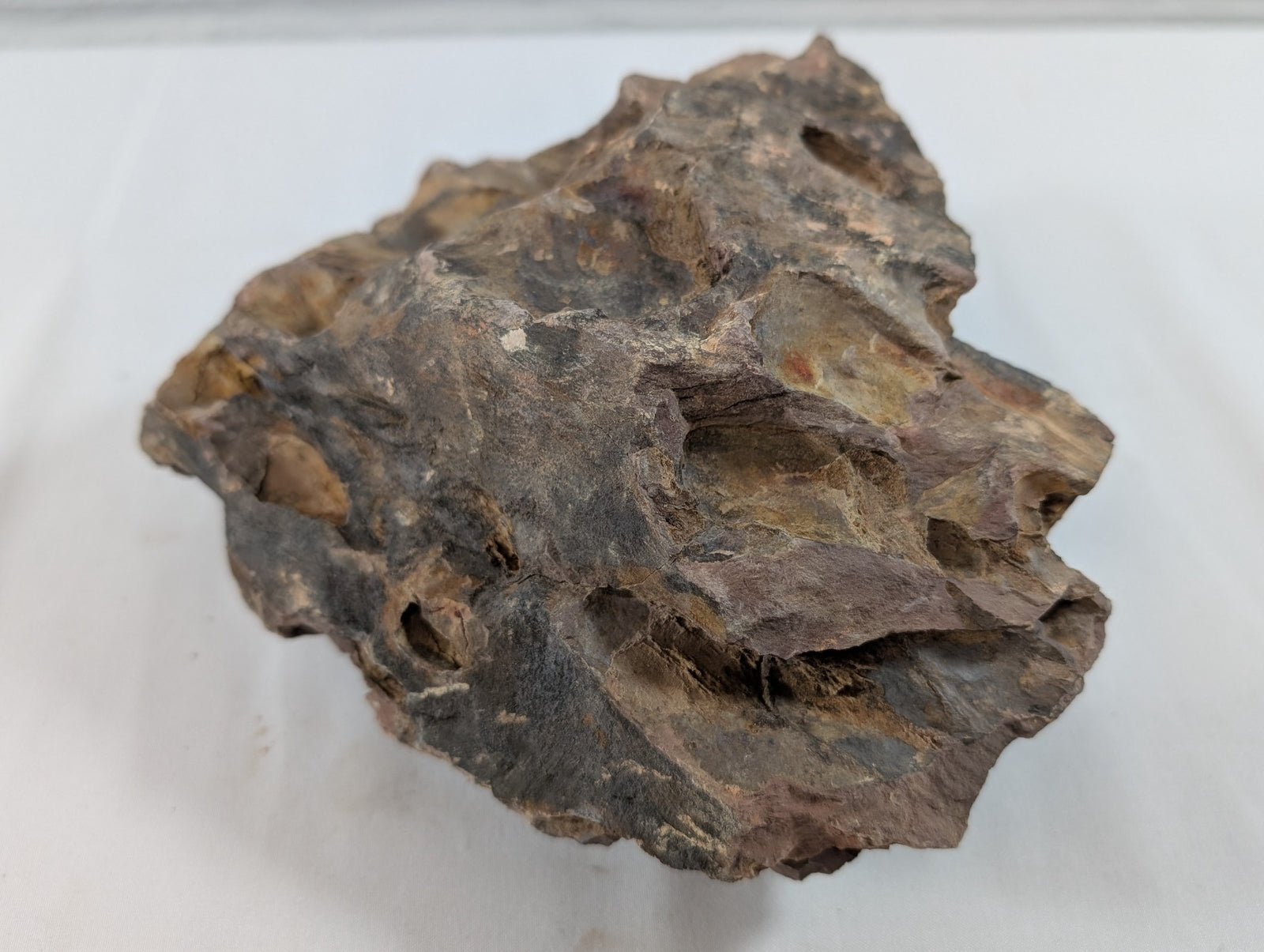 Dragon Stone Rock Aquascaping Premium Quality IWAGUMI Aquarium 1.5kg (RC10015)