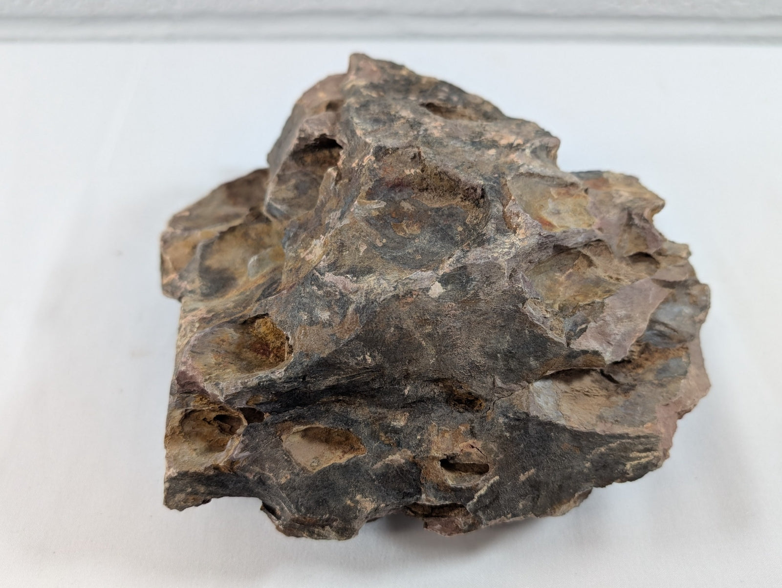 Dragon Stone Rock Aquascaping Premium Quality IWAGUMI Aquarium 1.5kg (RC10015)