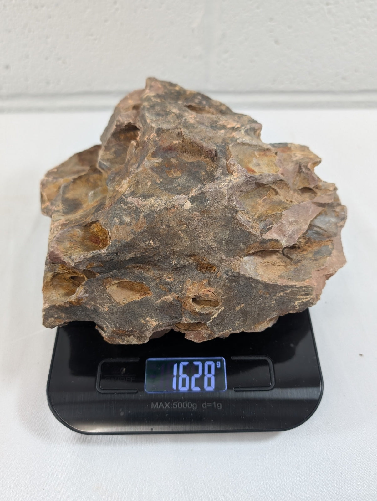 Dragon Stone Rock Aquascaping Premium Quality IWAGUMI Aquarium 1.5kg (RC10015)