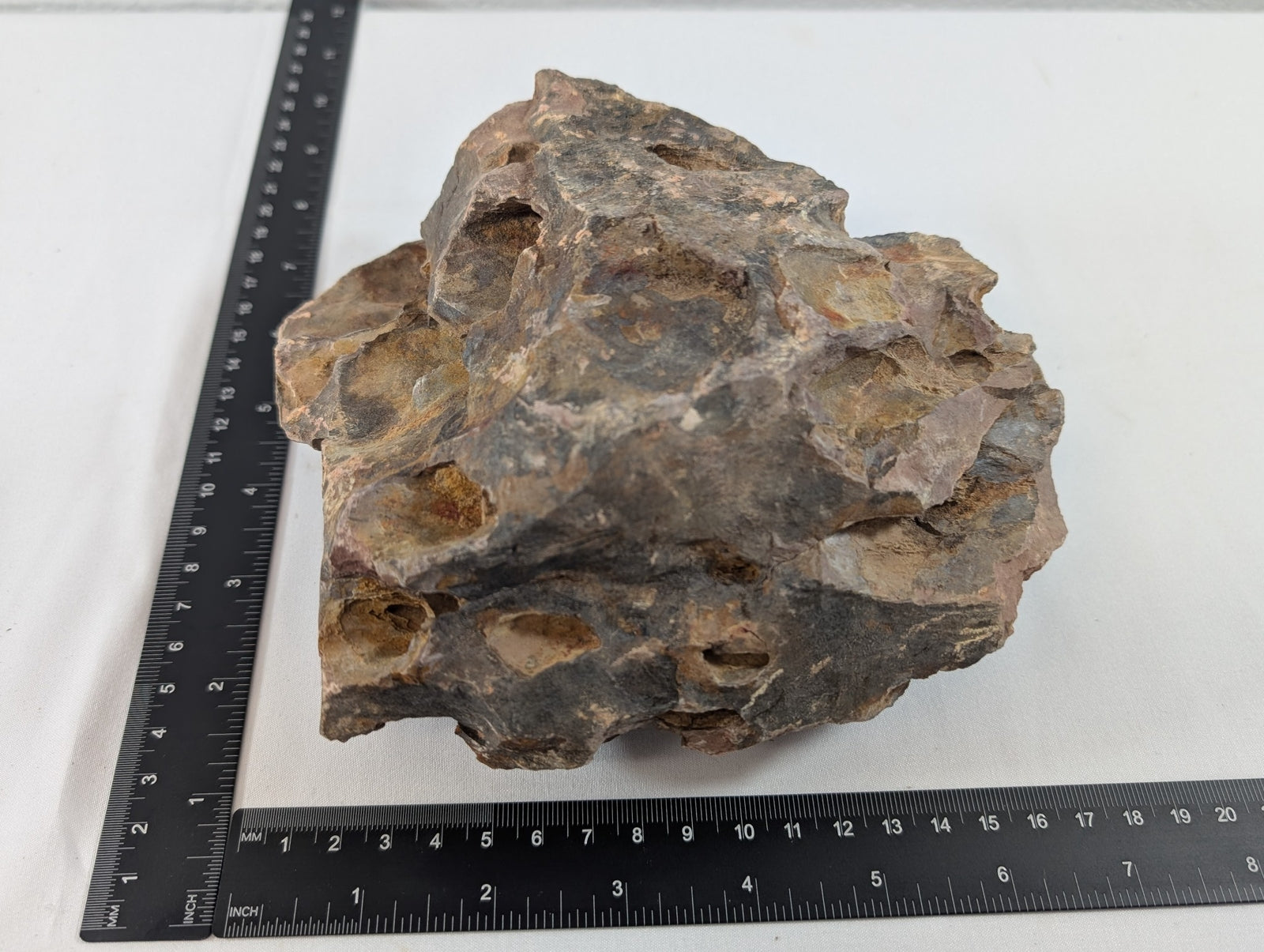 Dragon Stone Rock Aquascaping Premium Quality IWAGUMI Aquarium 1.5kg (RC10015)